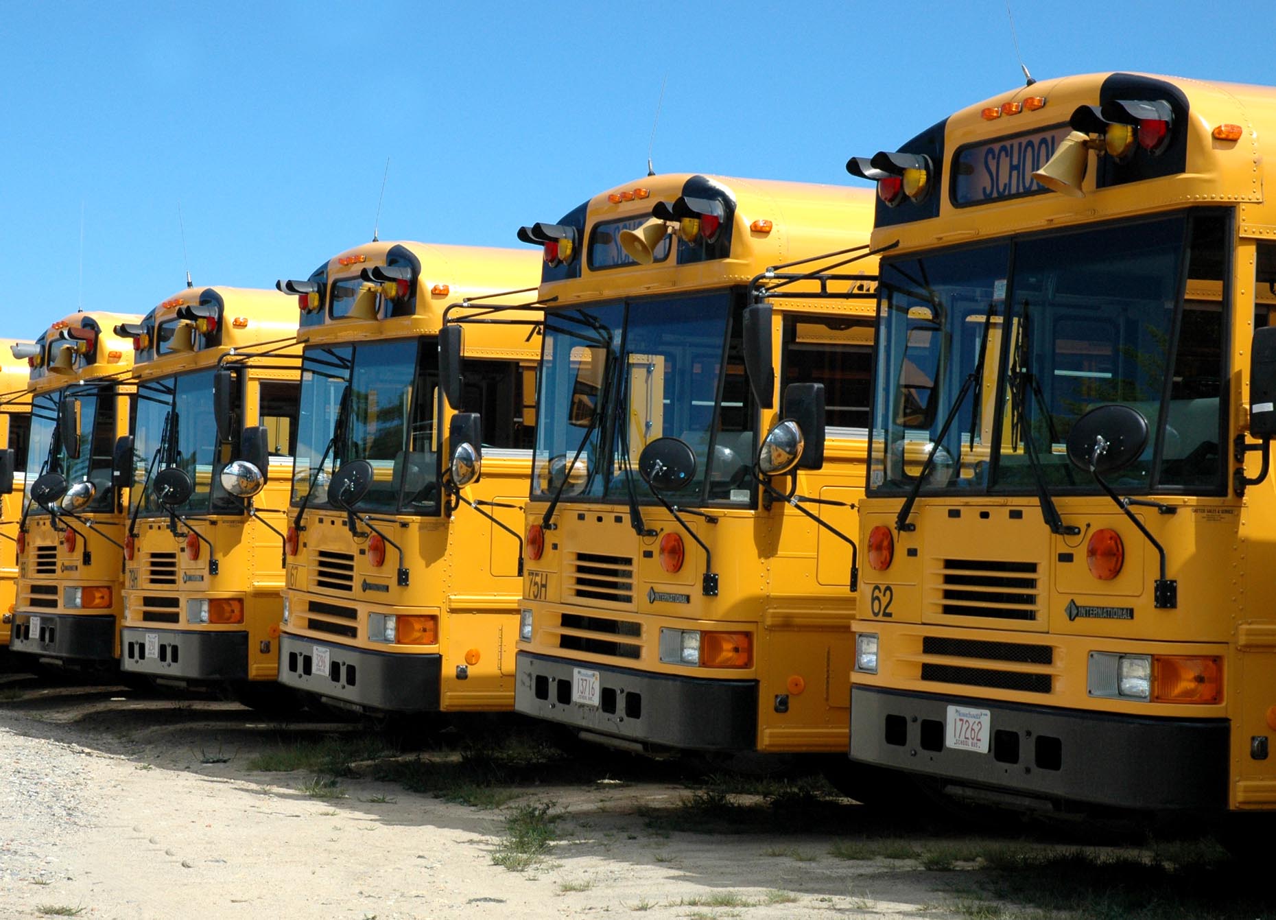 school buses