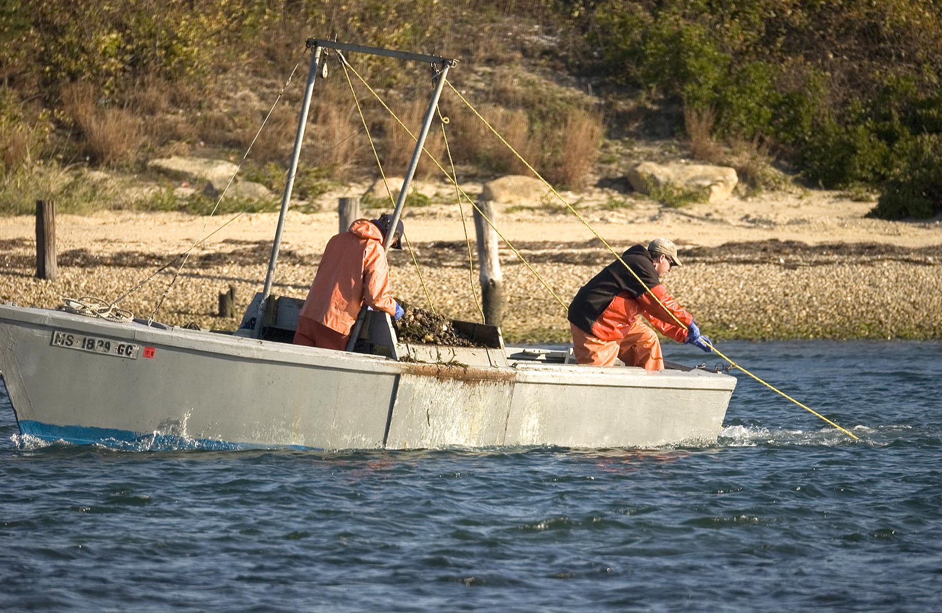 scalloping