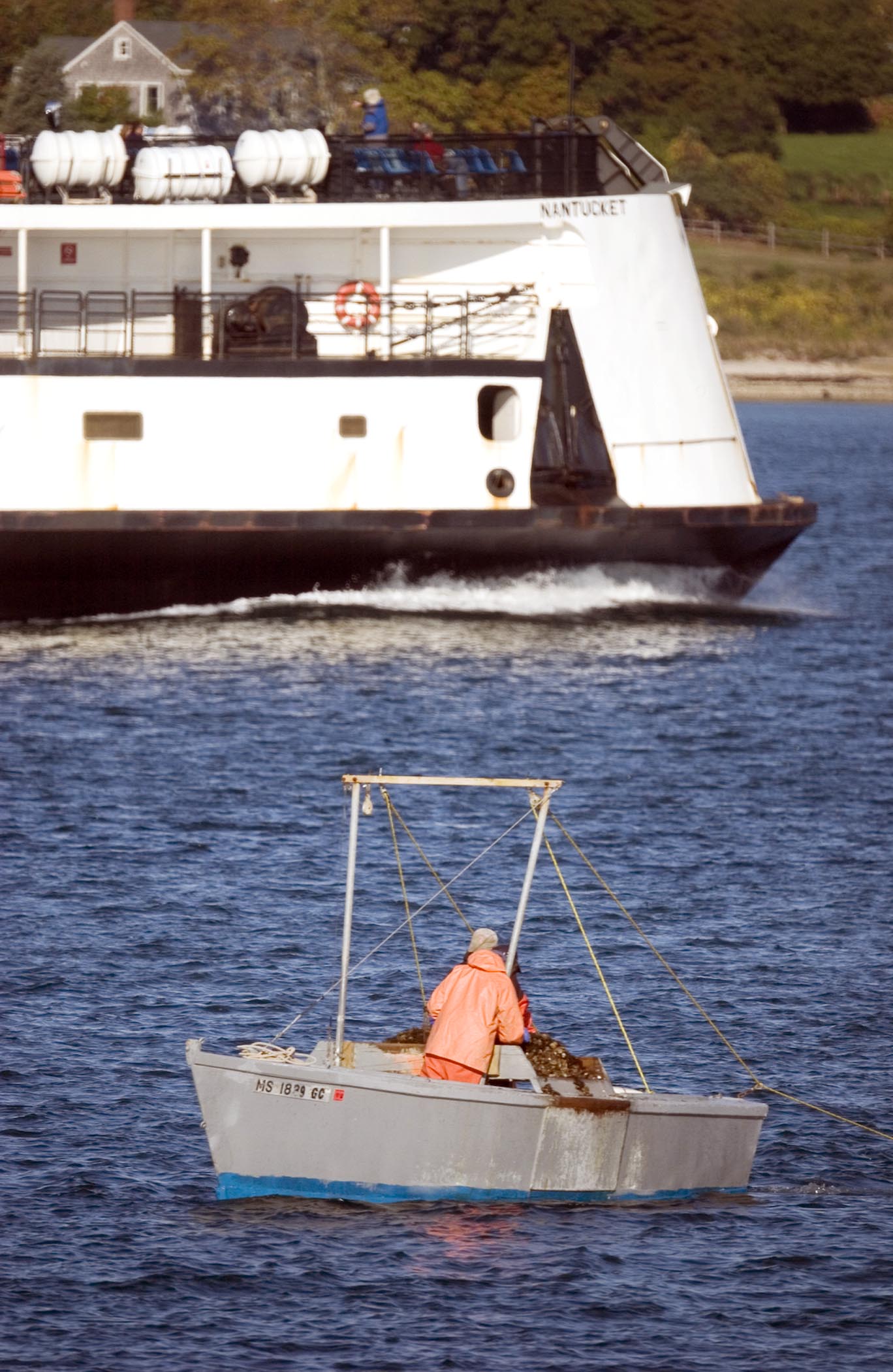 scallopers