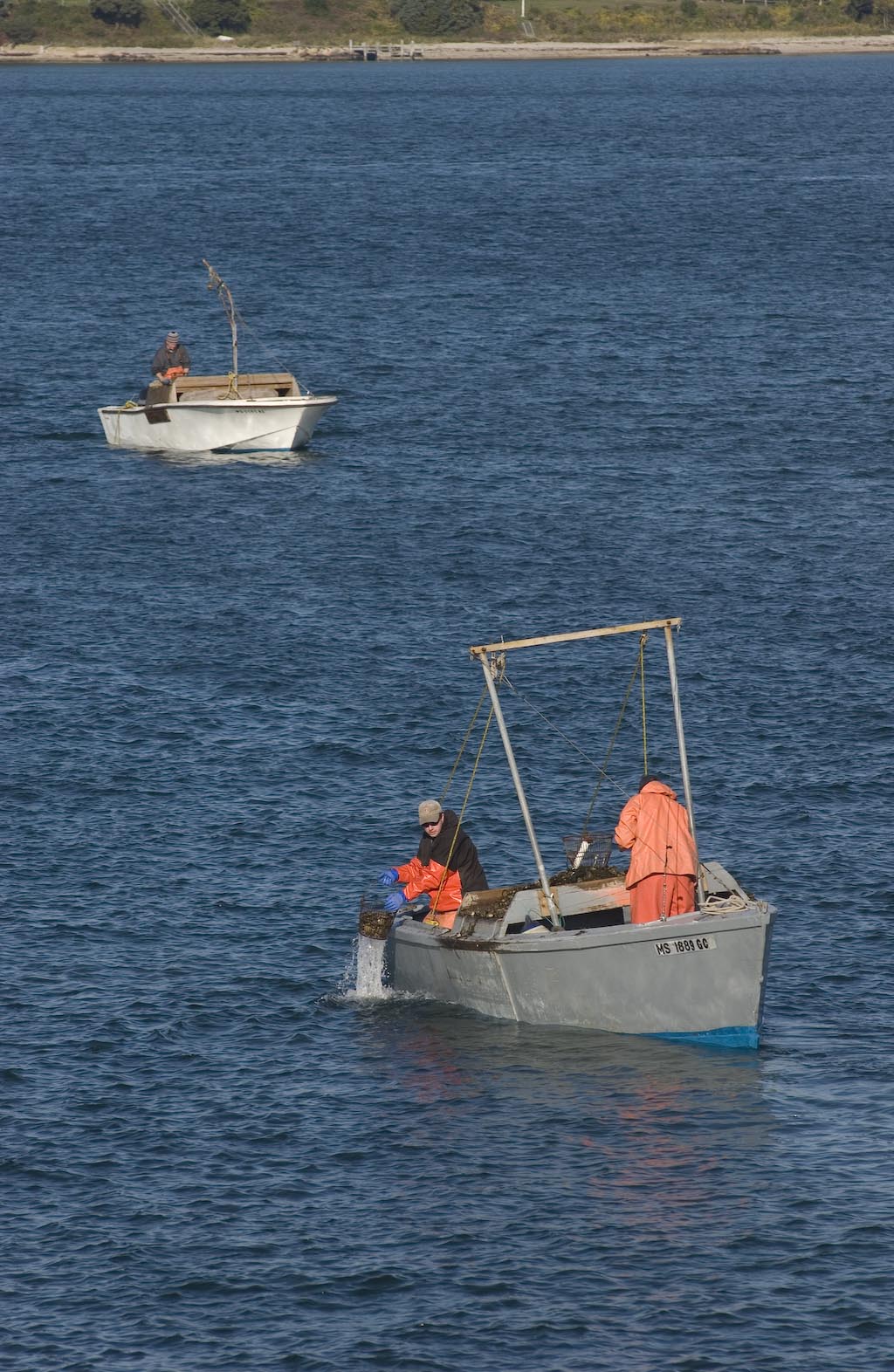 boats