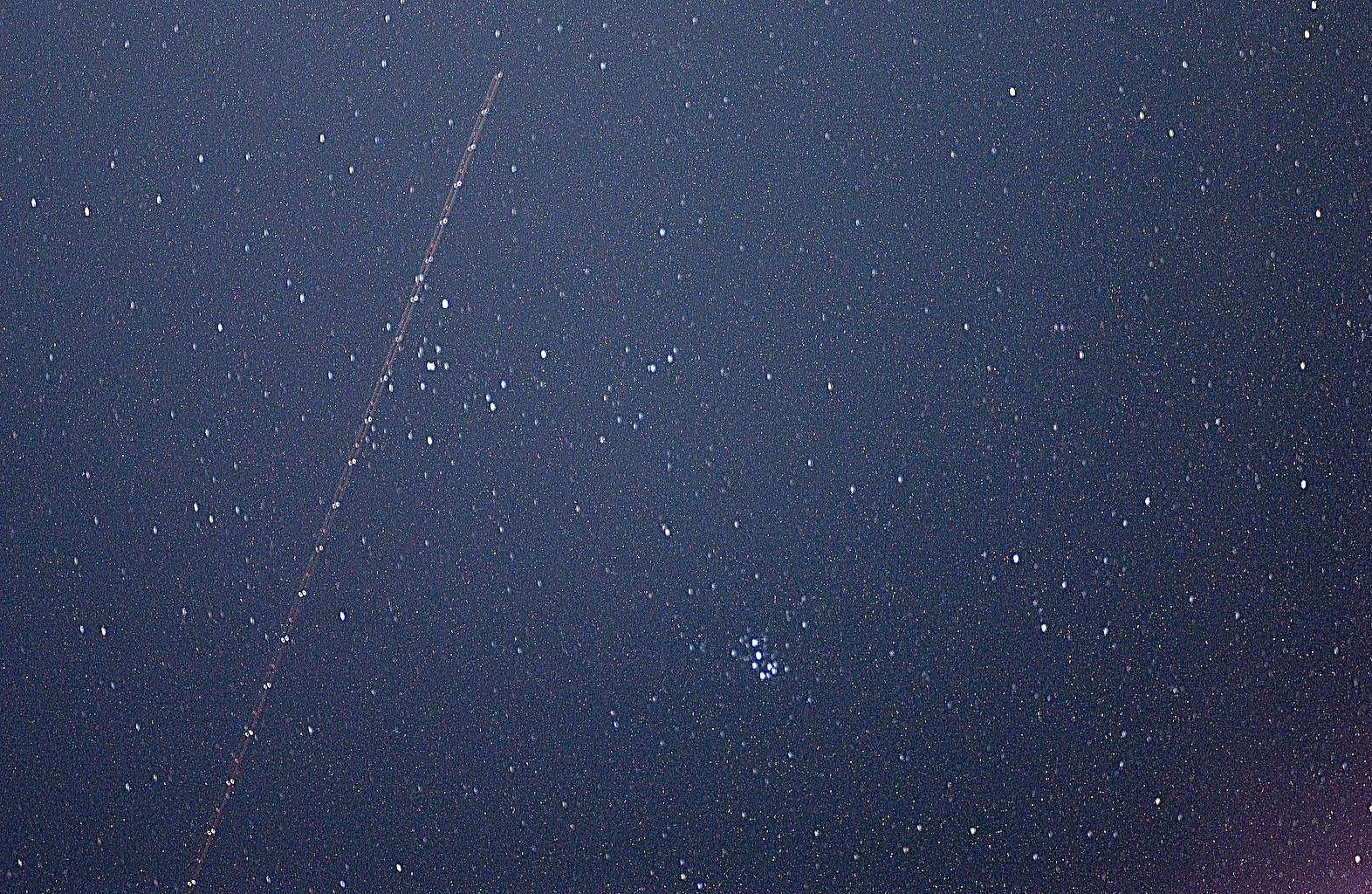 Taurus