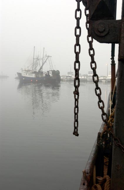 Menemsha harbor fog