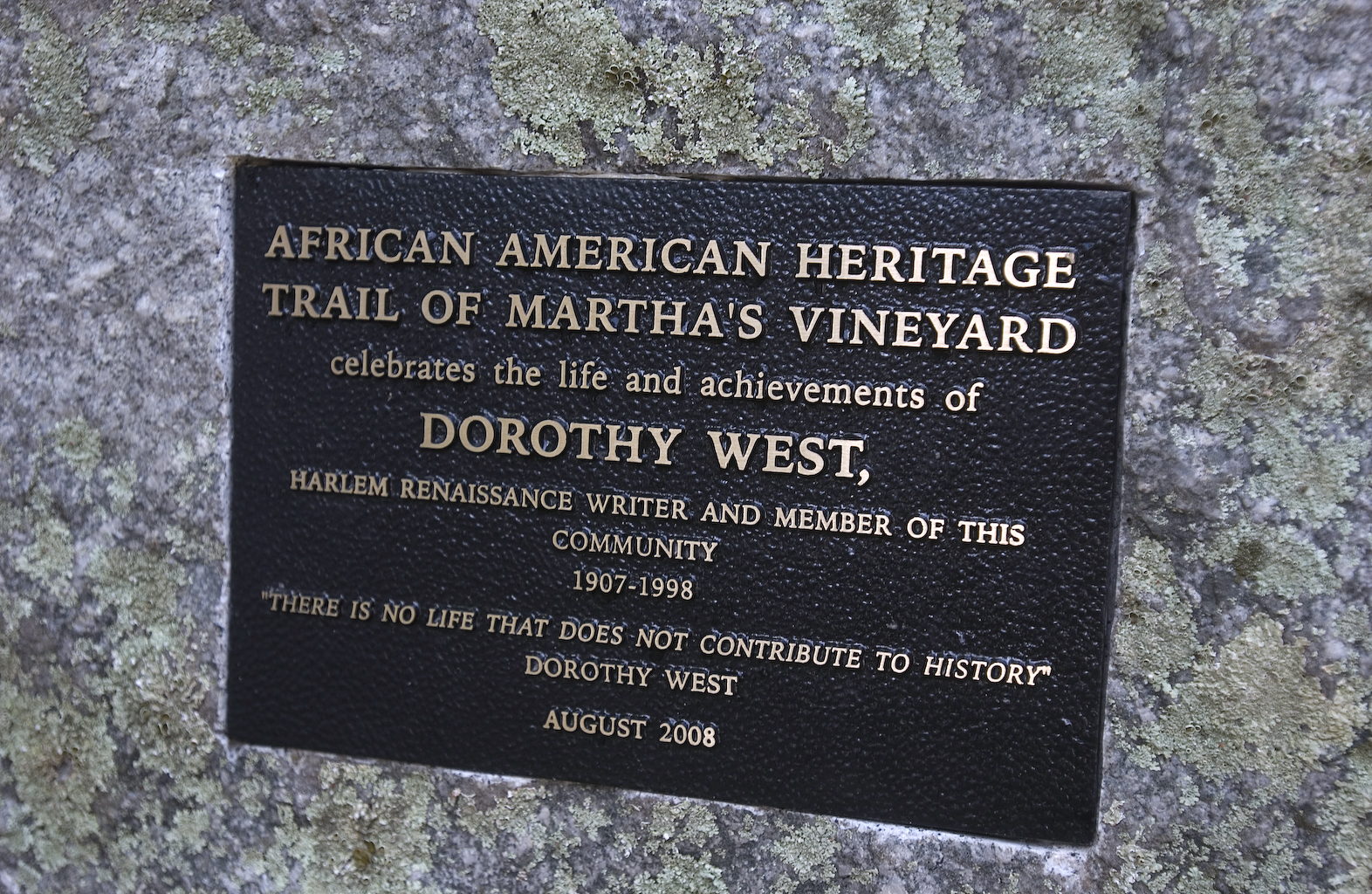 plaque