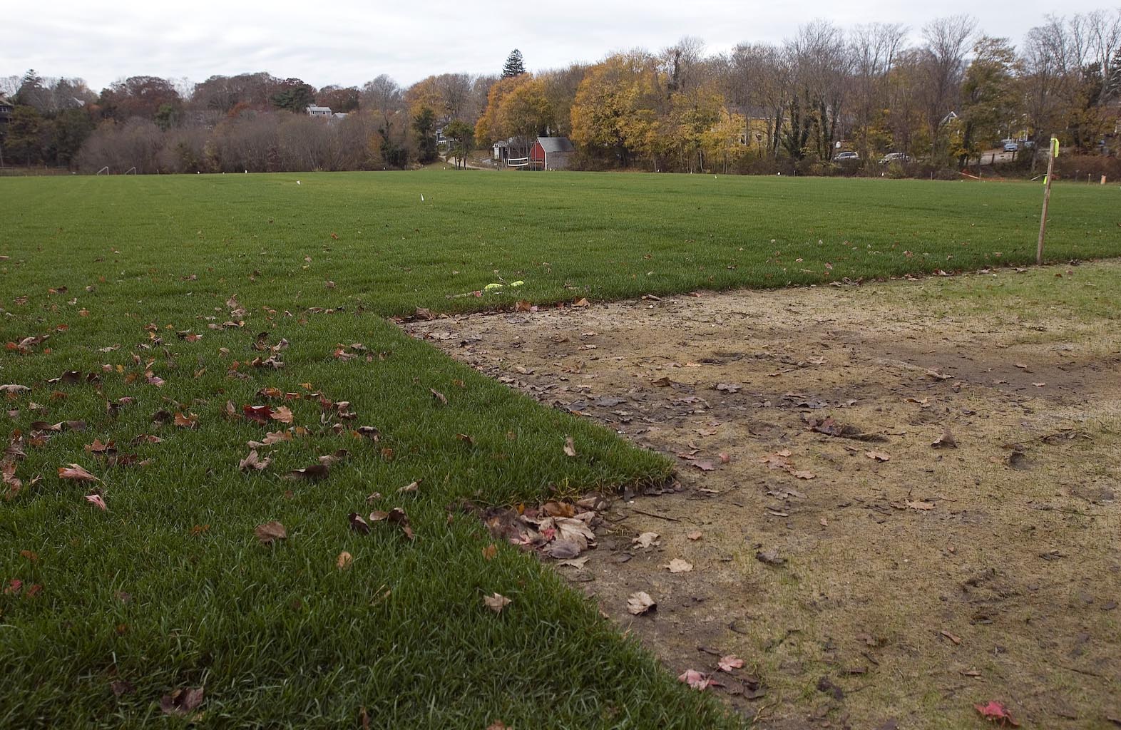 field