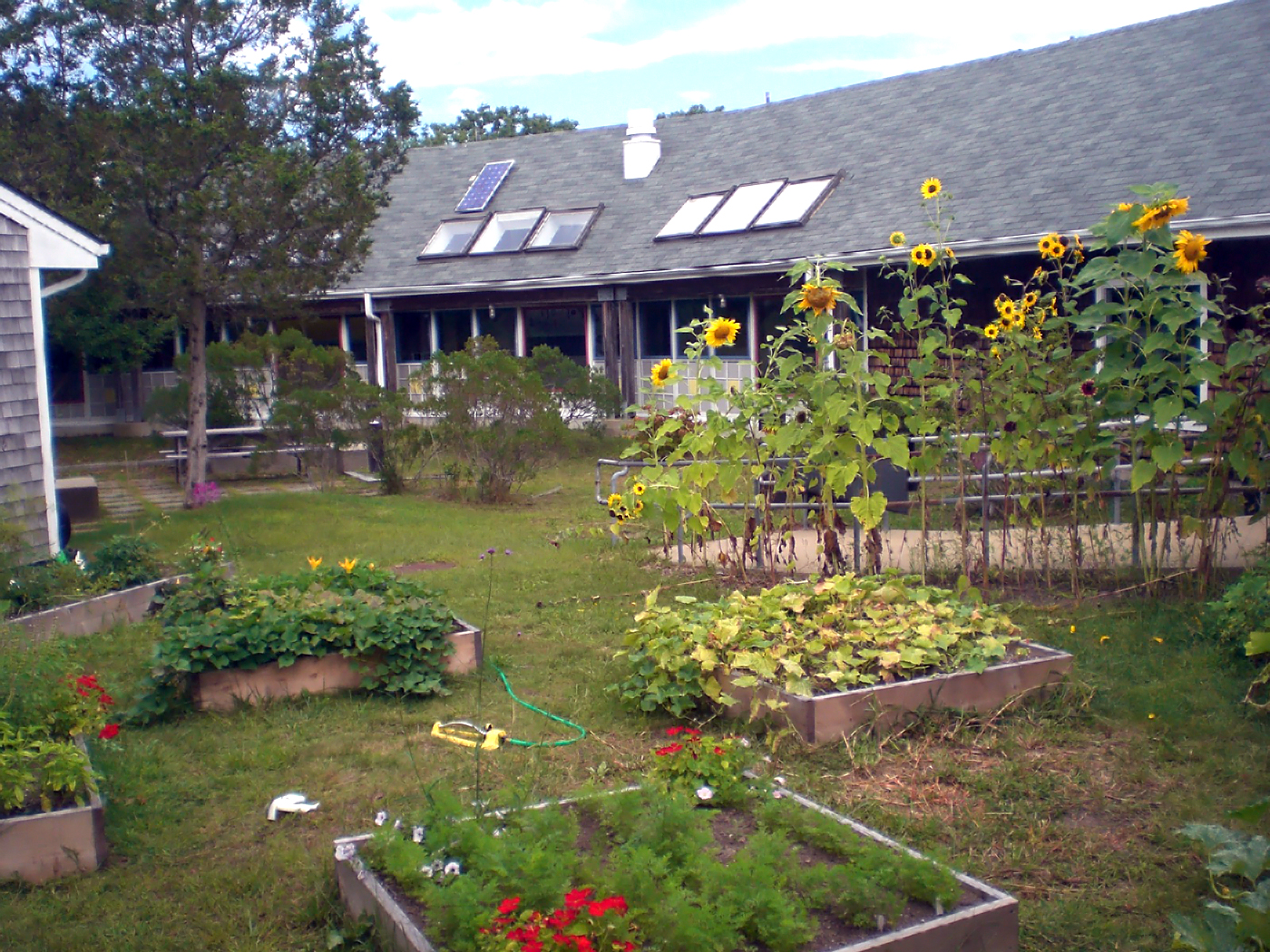 West Tisbury School garden