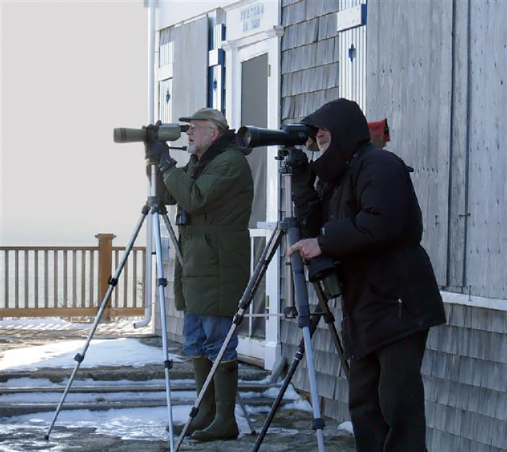 birdwatching