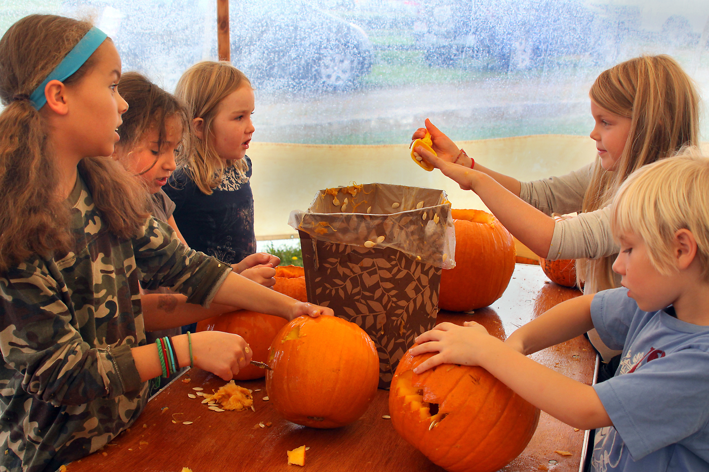pumpkins