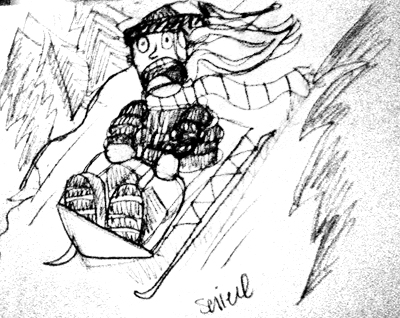 sled