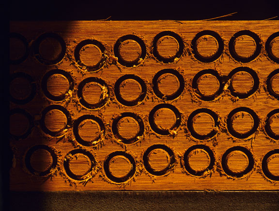 circles