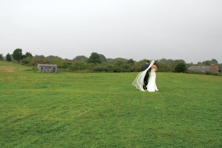 field