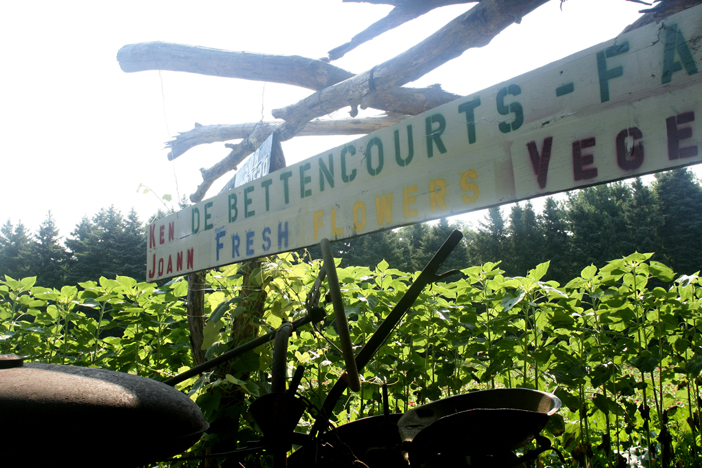 sign