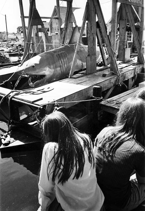 Jaws