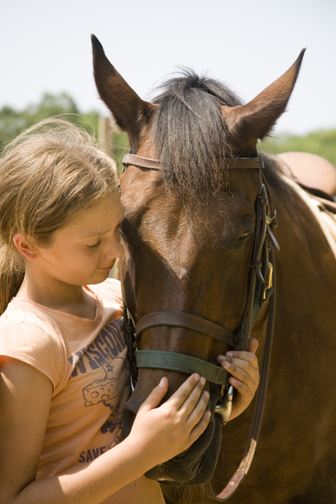horse