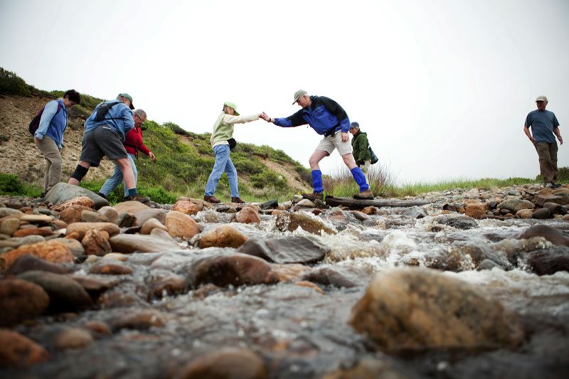 stream