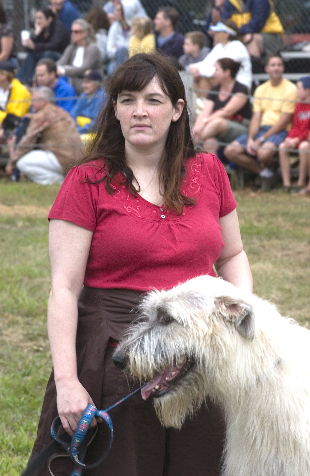Ellen Irish wolf hound