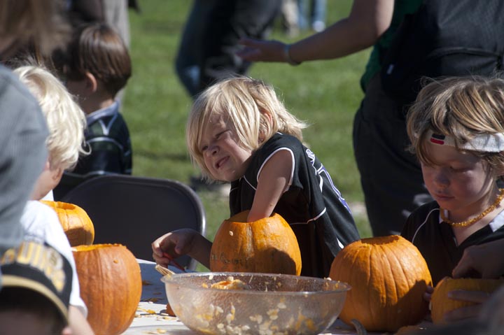 pumpkins