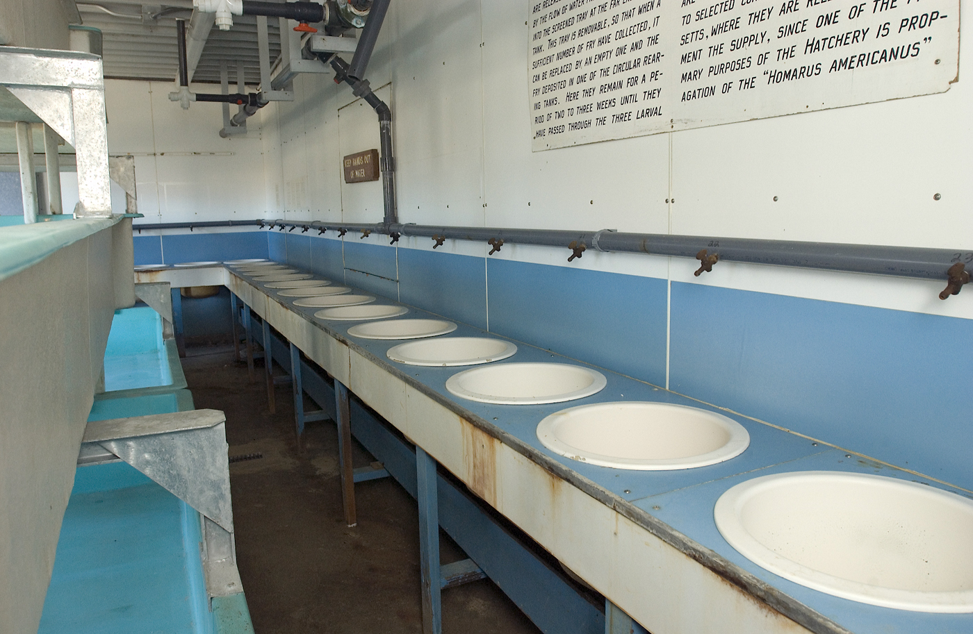 Hatchery