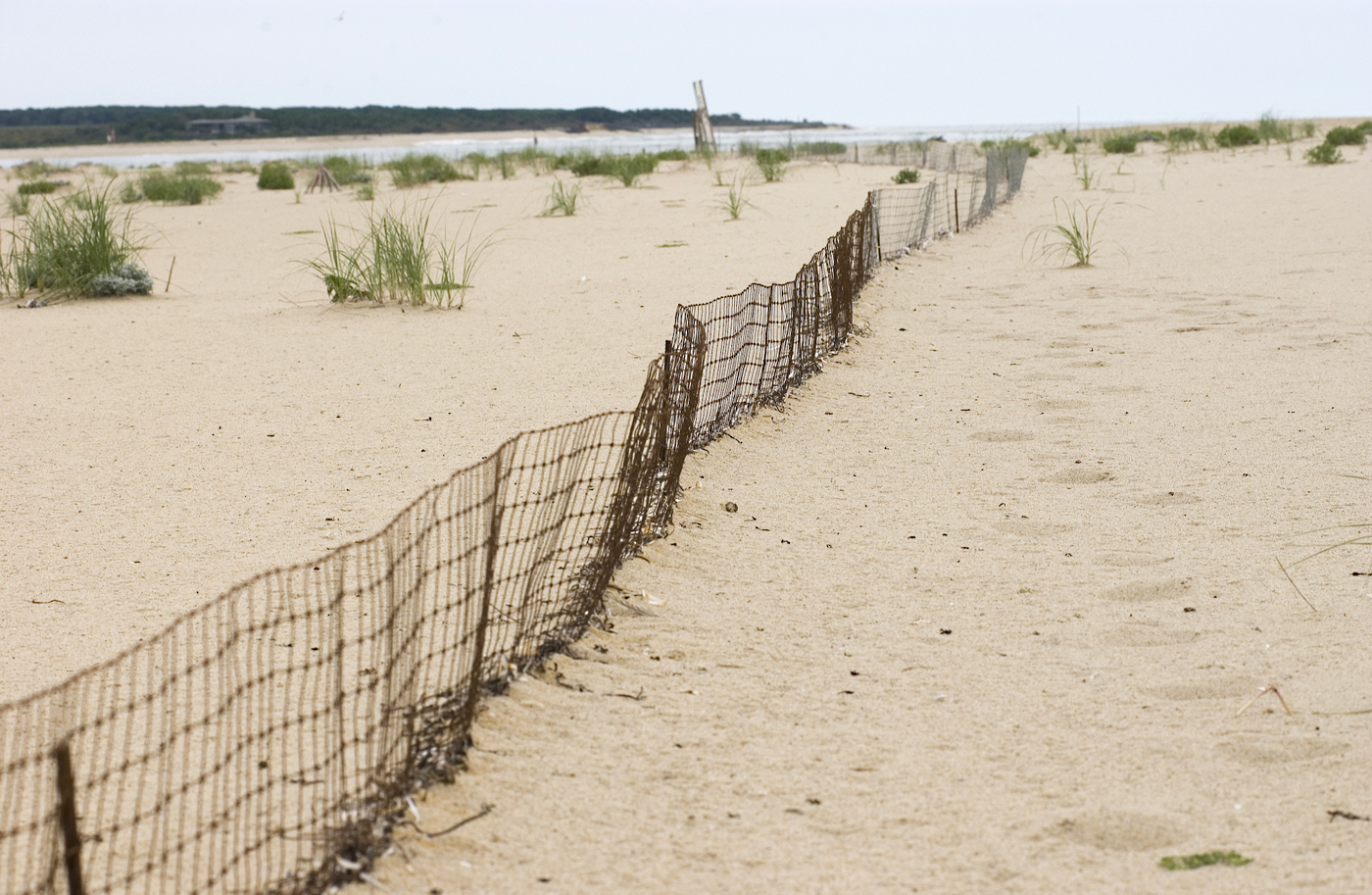 fence