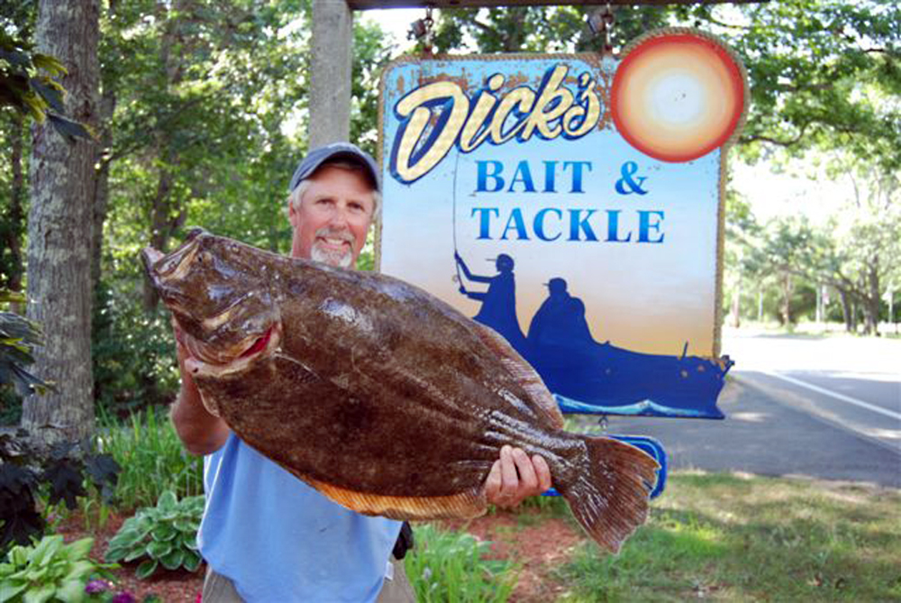fluke