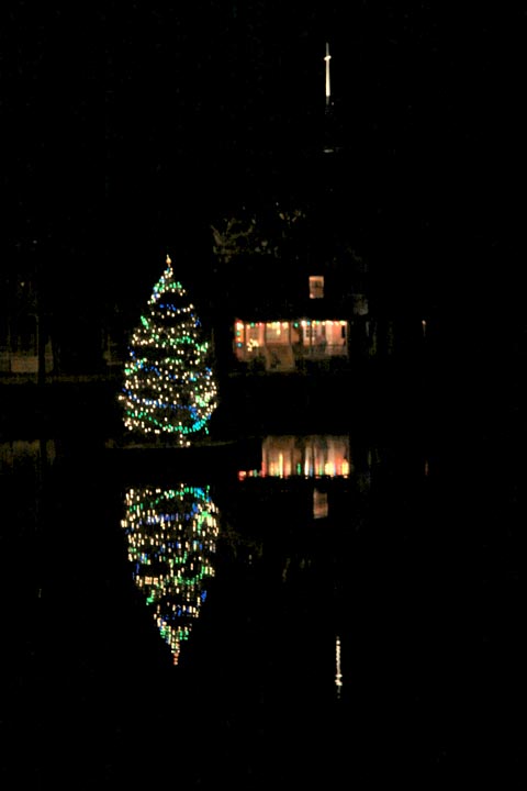 tree