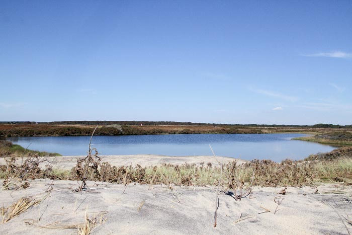 Pond Long Point Beach