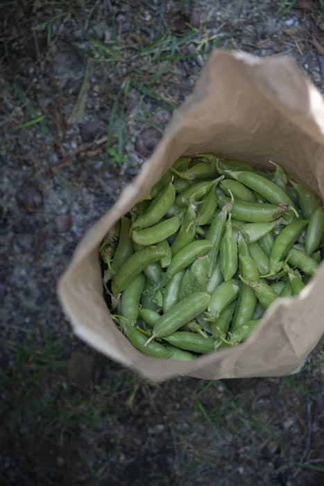 snow peas
