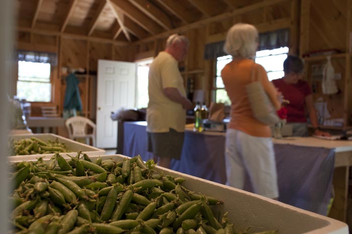 snow peas