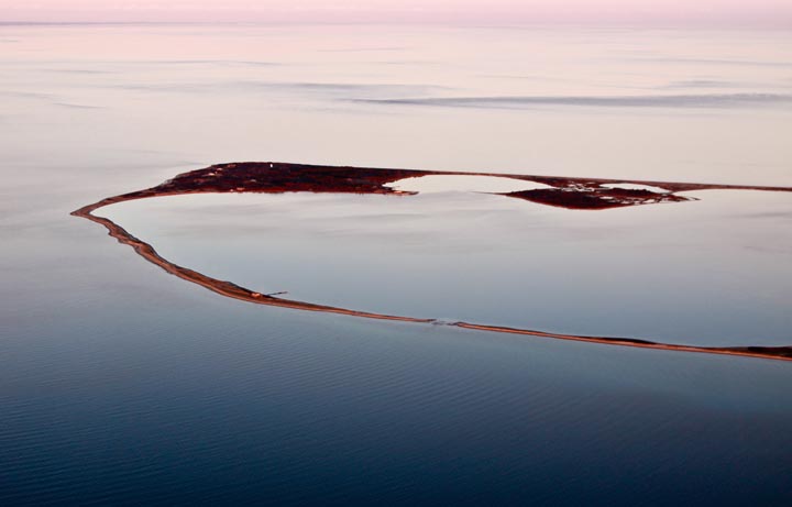 aerial