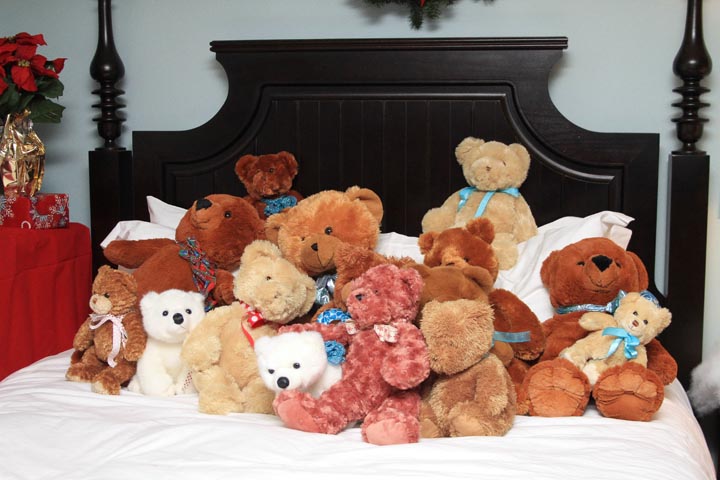 The Teddy Bear Suite Harborview bed
