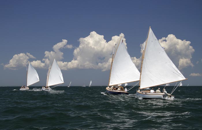 sailboats