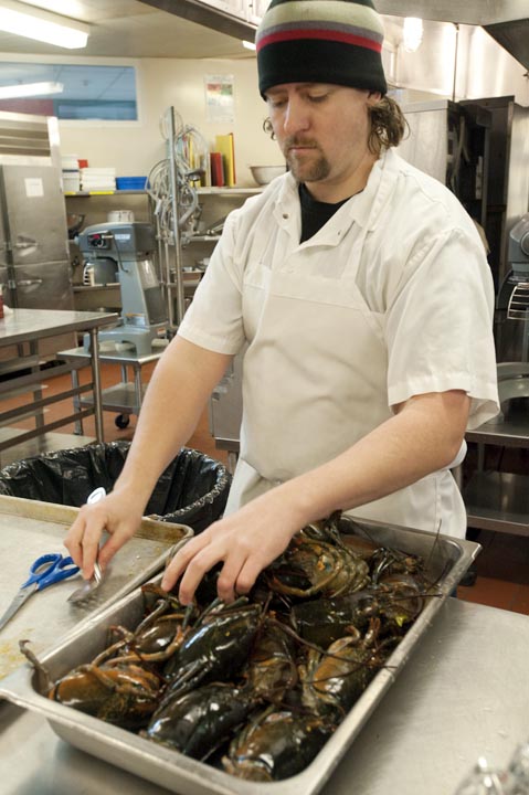 lobsters