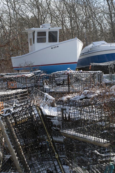 boats