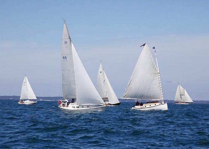 sailboats ocean Moffett Race