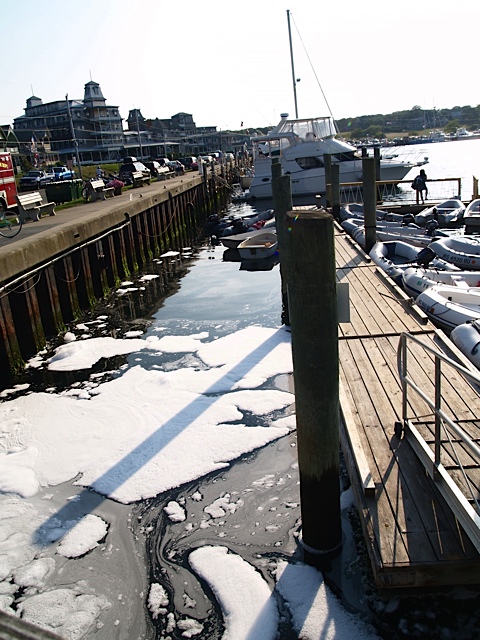 oil spill oak bluffs
