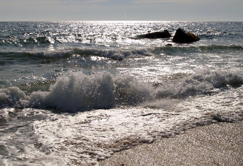 philbin beach alison mead