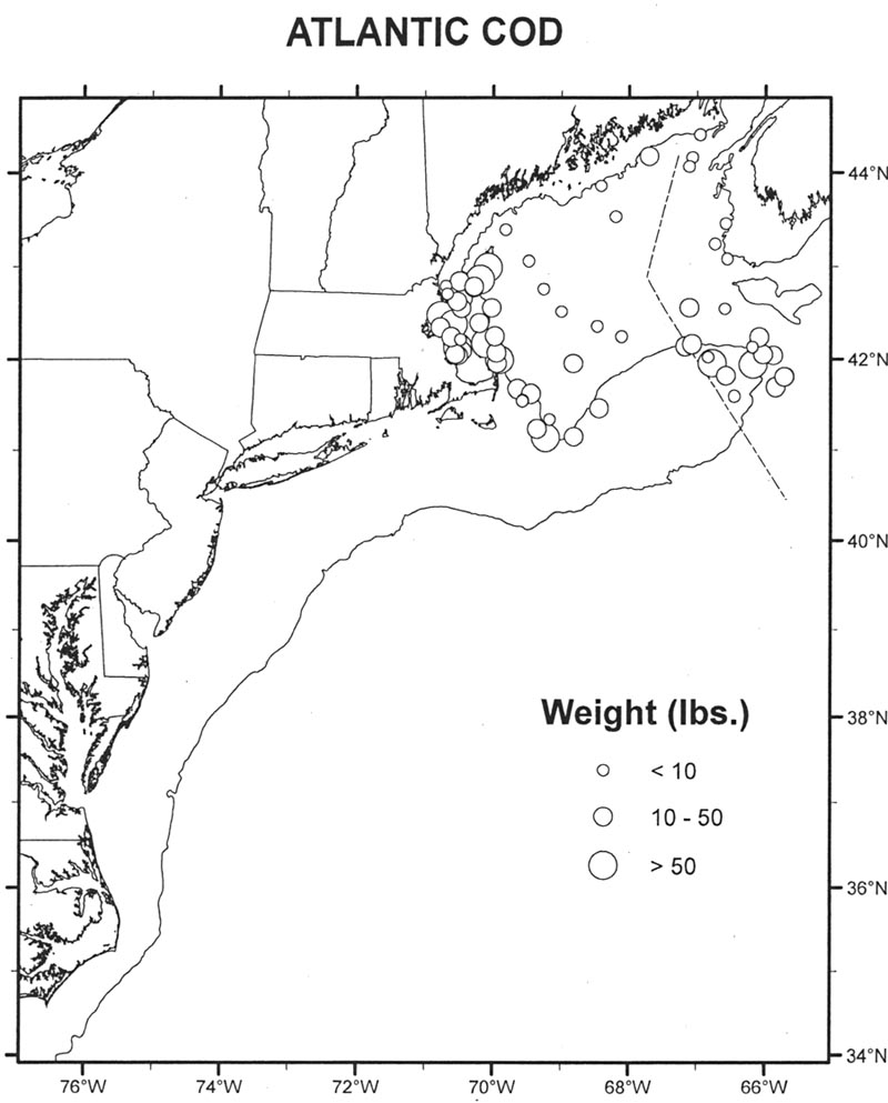 atlantic cod landings
