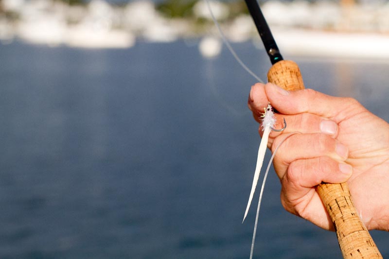 fly fishing