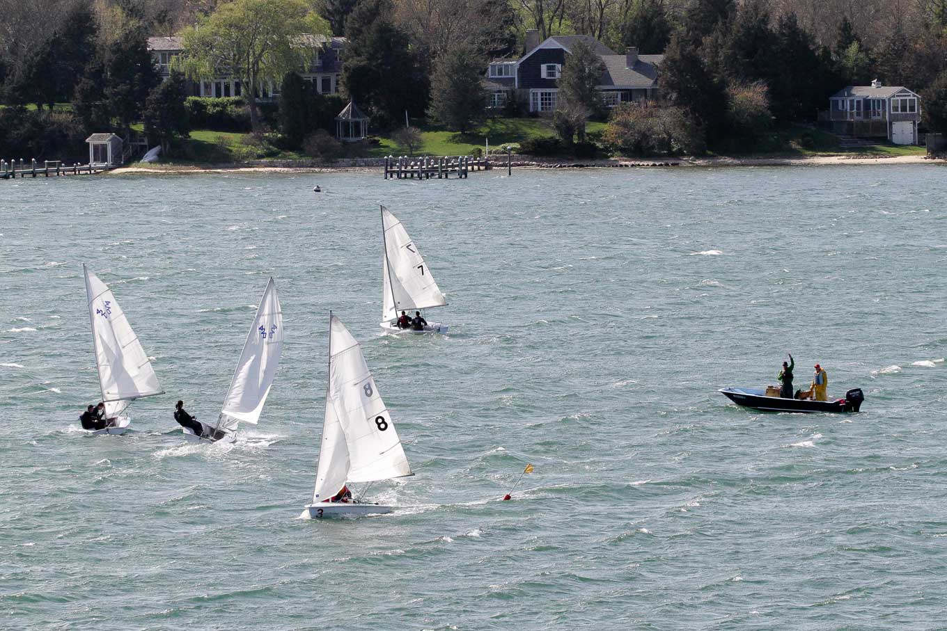 sailboats