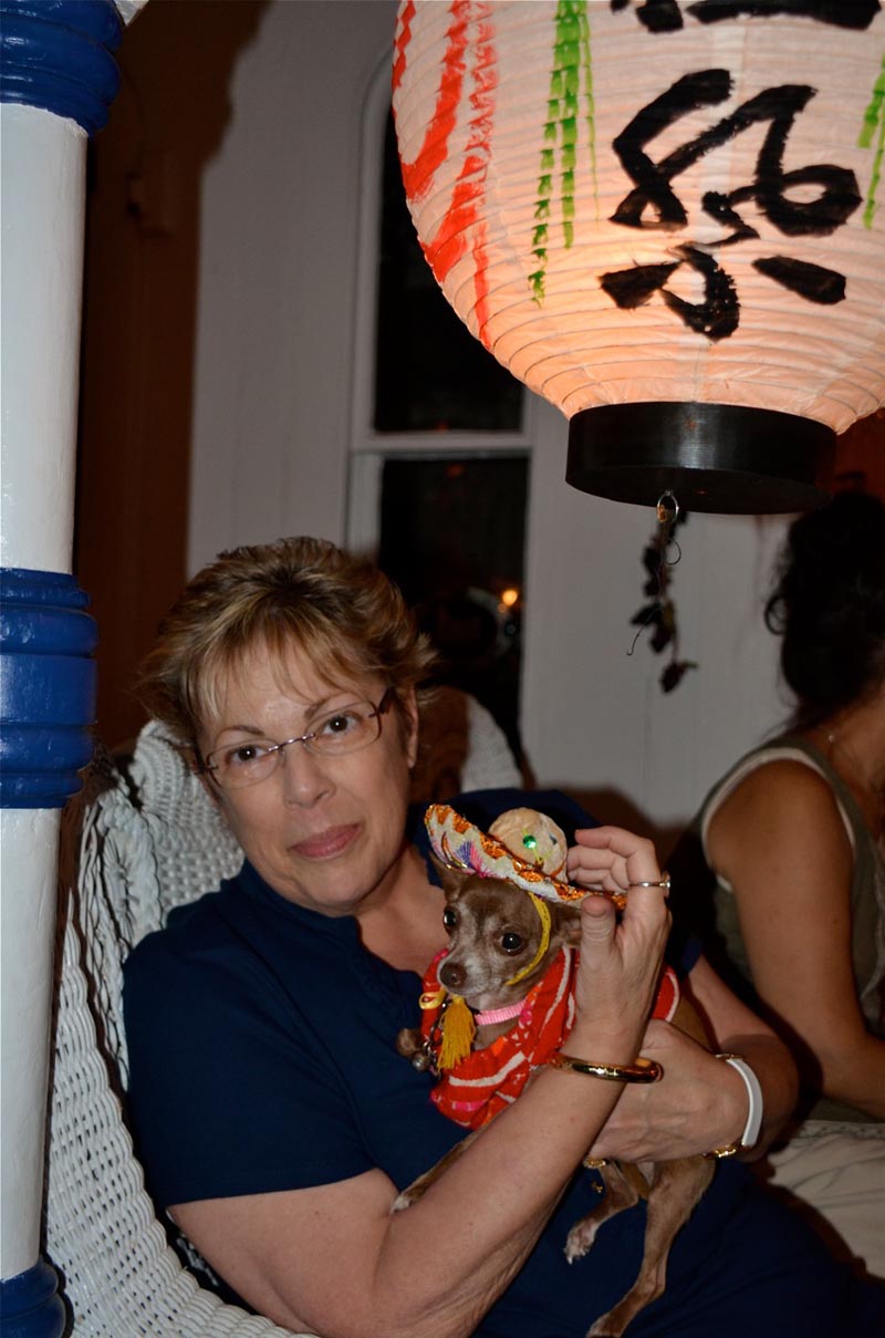 donna gallaugher