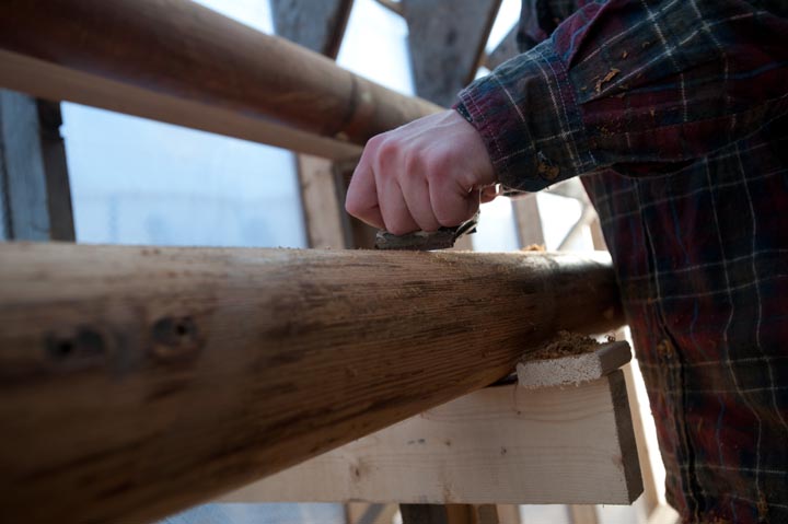 plane wood mast