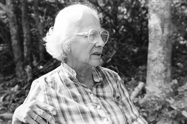 Gladys Widdiss