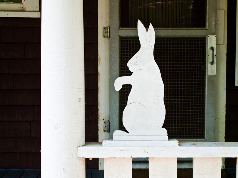 bunny cottage
