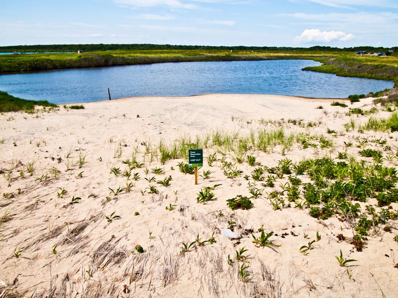 long point