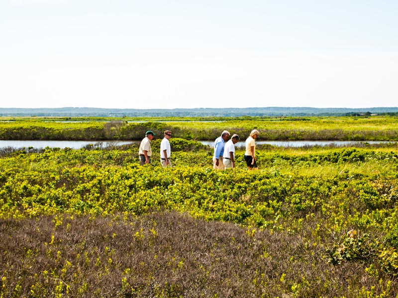 long point