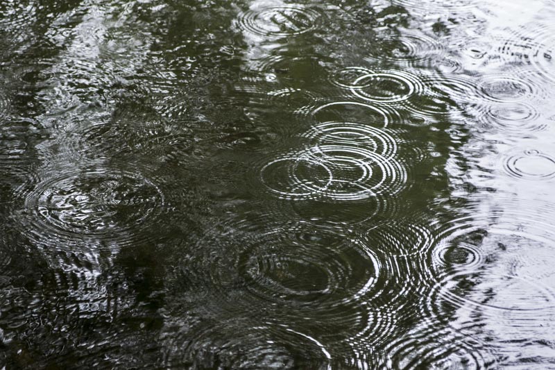 raindrops