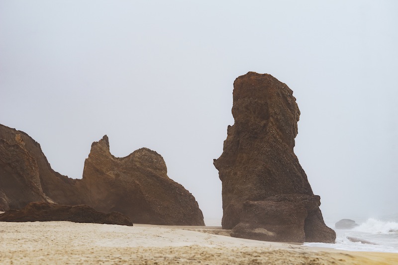 Lucy Vincent Cliffs in the fog. 