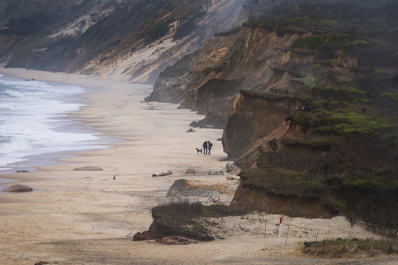 Foggy walk at Lucy Vincent Beach. 