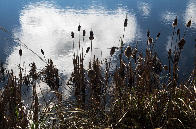Sheriff's Meadow Pond