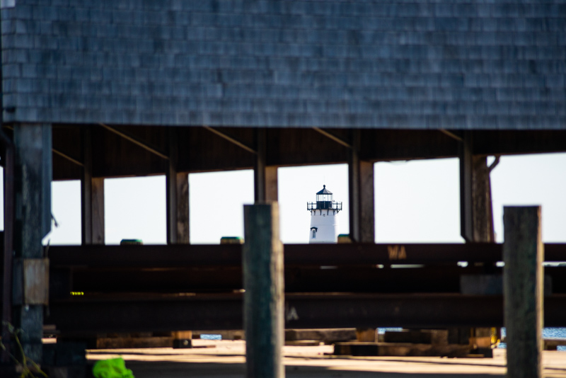 Edgartown Light seen through the pavilion.