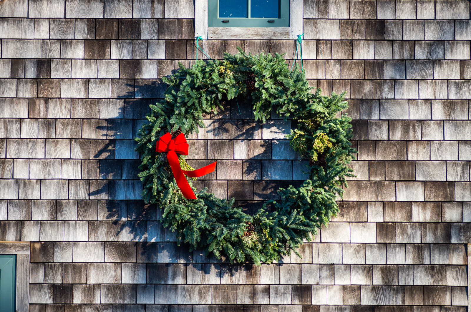 Morning Glory farm always supplies holiday cheer.